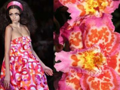John Galliano - inspiracje na lato 2008 / 2009 (VIDEO)
